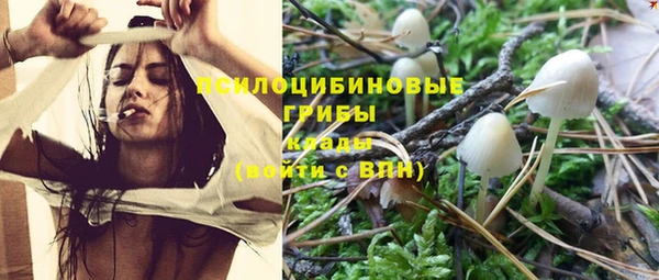 винт Инсар