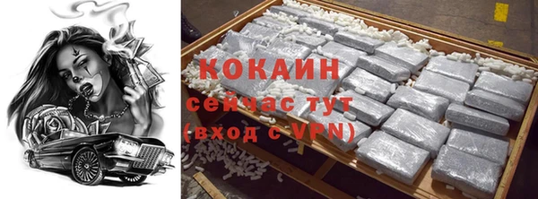 винт Инсар