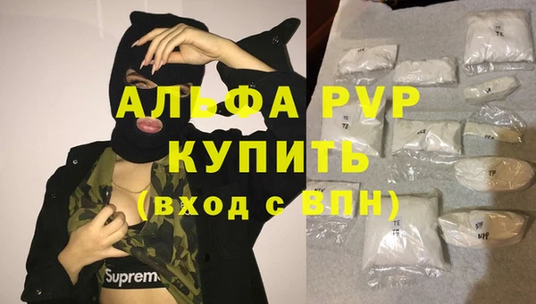 винт Инсар