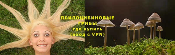 винт Инсар