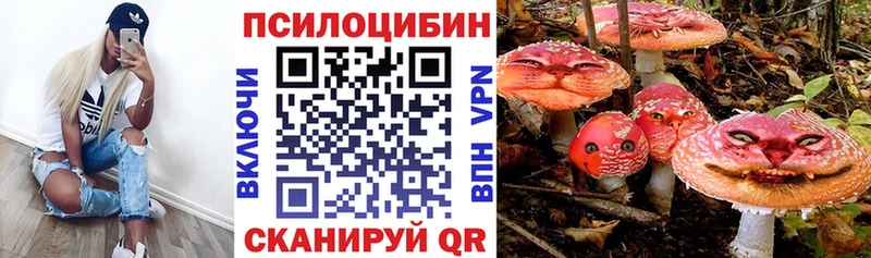 Купить закладки  Горняк  Псилоцибиновые грибы MAGIC MUSHROOMS 